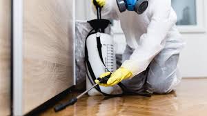 Best Organic or Eco-Friendly Pest Control  in Salem, AR